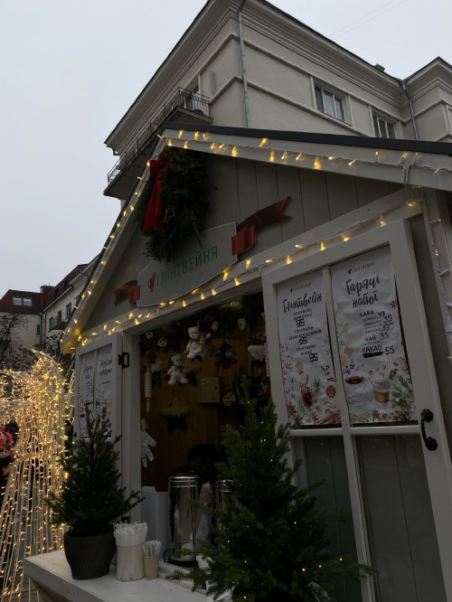 Image house, roof, flowerpot, door, christmas decoration