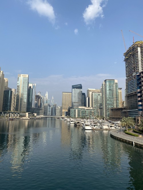 Image dubai, skyline, body of water, tower block, daytime