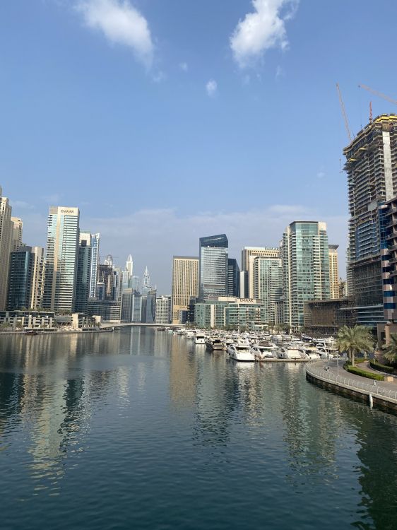 Dubai, Skyline, Body of Water, Tower Block, Daytime. Wallpaper in 1536x2048 Resolution