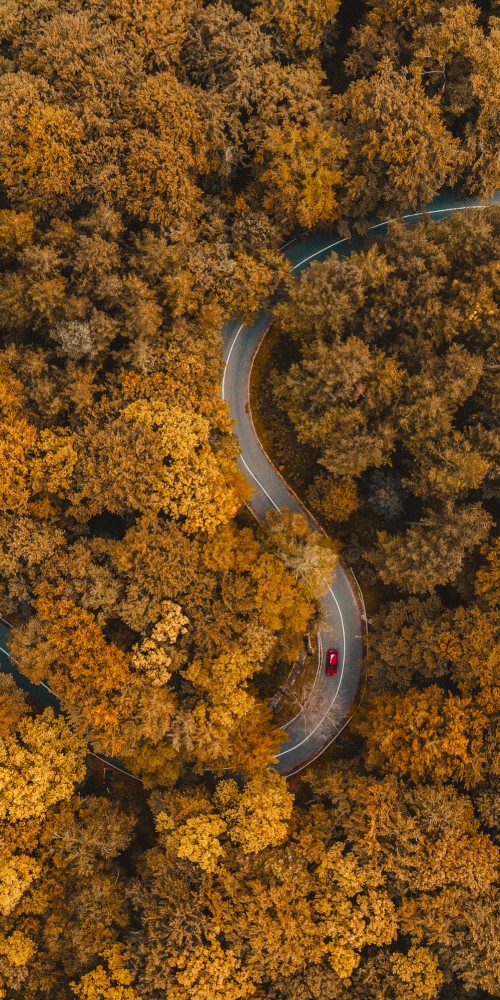 Image soil, amber, asphalt, road surface, grass