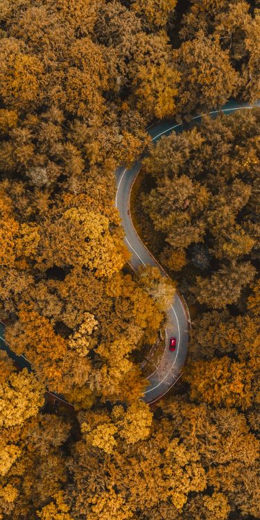 soil, amber, asphalt, road surface, grass