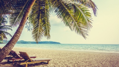 Image brown wooden lounge chair on beach during daytime