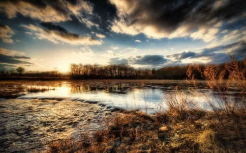 Image body of water near trees under blue sky during daytime