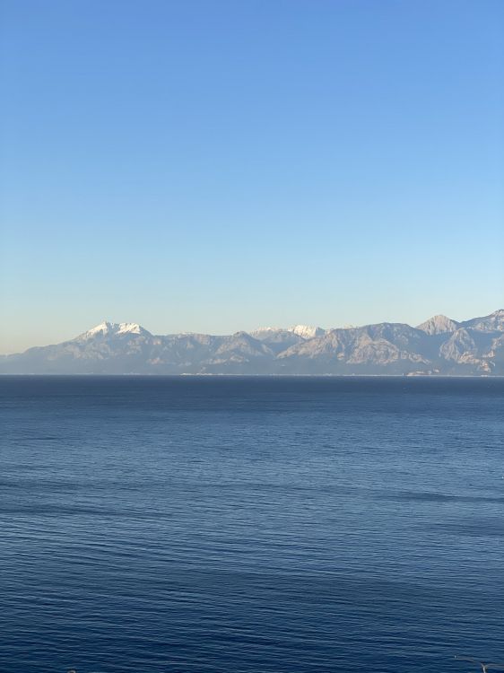 Parc Karaalioglu, Hébergement, Zappardino, Location de Vacances, Eau. Wallpaper in 1536x2048 Resolution