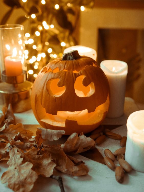 Halloween costume, costume, Pumpkin, party, amber