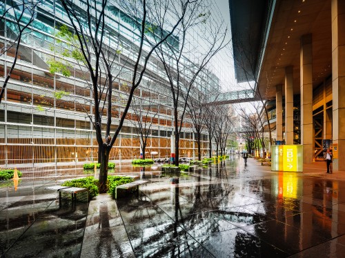 Image bare trees near brown building during daytime