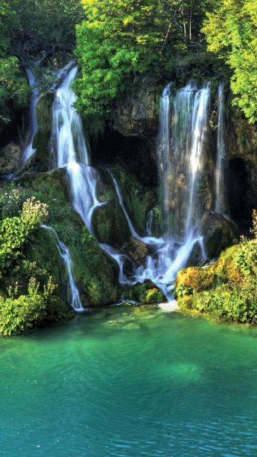 Image green trees beside water falls during daytime