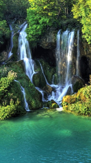 Image green trees beside water falls during daytime