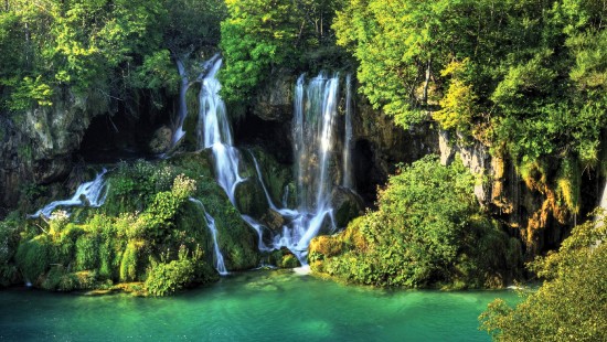 Image green trees beside water falls during daytime
