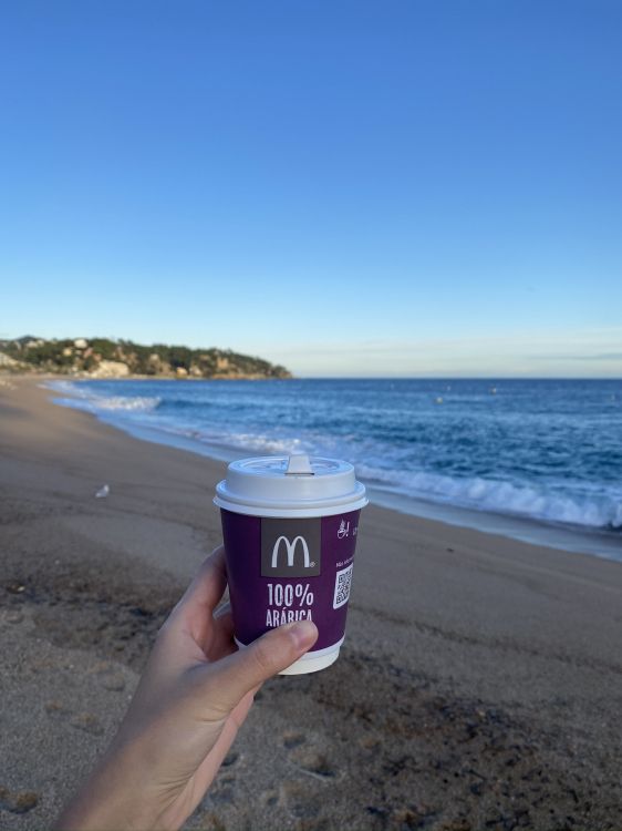 Plage, Eau, Corps de L'eau, Environnement Naturel, Côte. Wallpaper in 1536x2048 Resolution