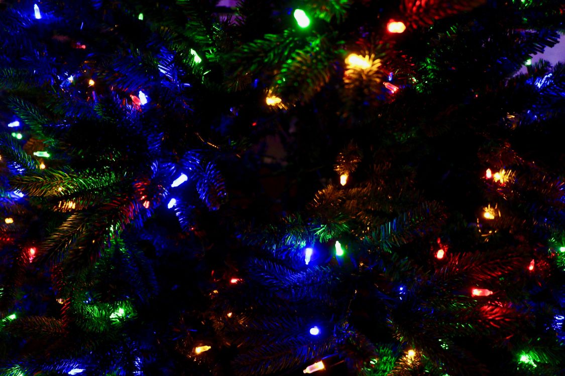 El Día De Navidad, Luces de Navidad, Azul, Luz, Decoración de la Navidad. Wallpaper in 5472x3648 Resolution