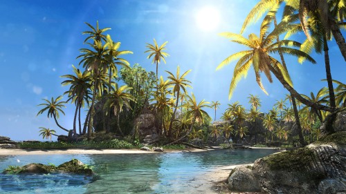 Image coconut trees near body of water during daytime