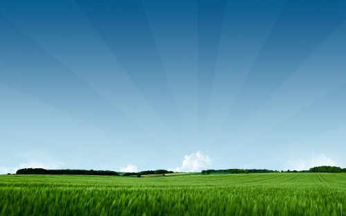 Image green grass field under blue sky during daytime