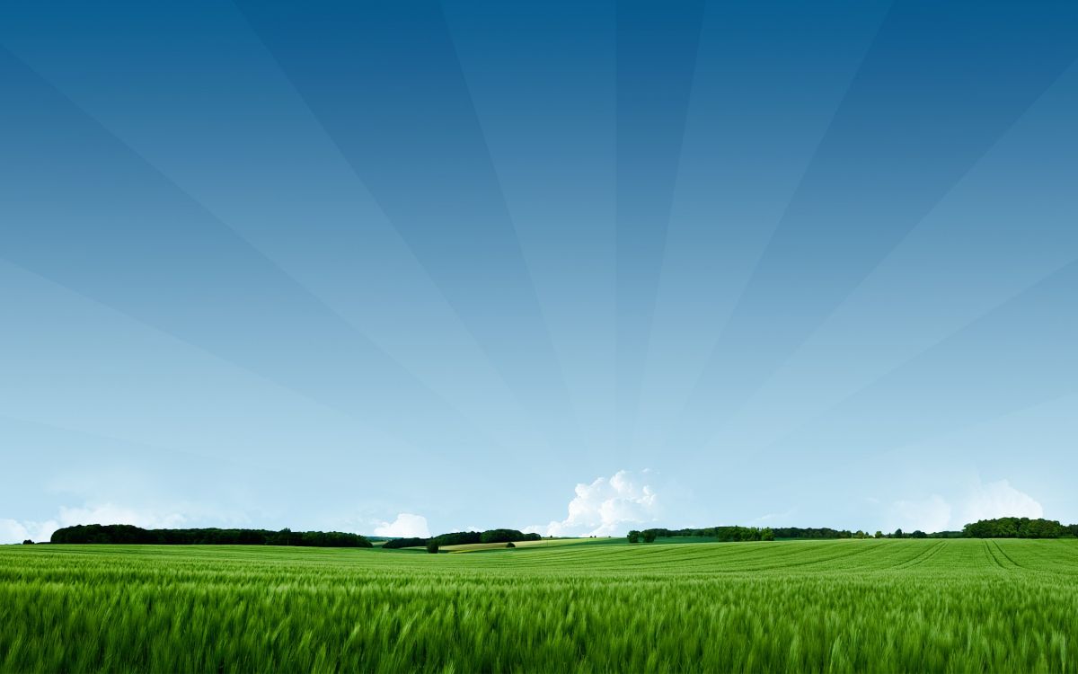 green grass field under blue sky during daytime