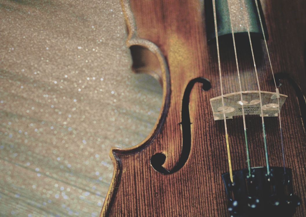 Streichinstrument, Gambe, Violine Familie, Musik, Bass Geige. Wallpaper in 5632x4000 Resolution