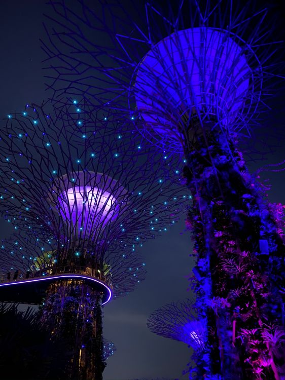 Singapur, Luz, Azul, Morado, Violeta. Wallpaper in 1536x2048 Resolution