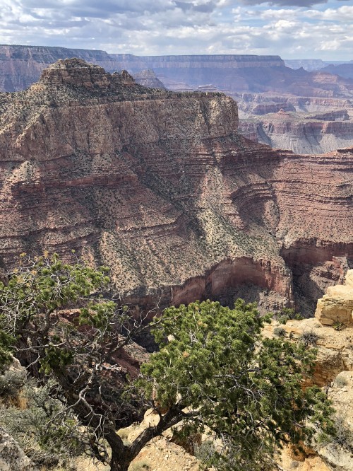 Image grand canyon, mountainous landforms, outcrop, plant community, rock