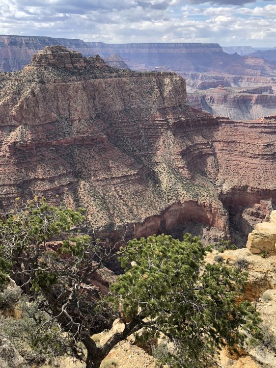 grand canyon, mountainous landforms, outcrop, plant community, rock