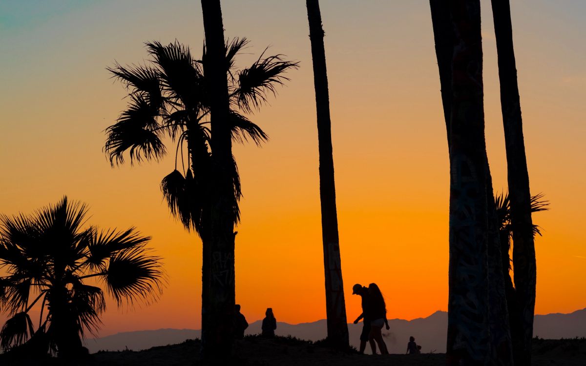 Silhouette Von Menschen, Die Während Des Sonnenuntergangs in Der Nähe Von Palmen Stehen. Wallpaper in 3840x2400 Resolution