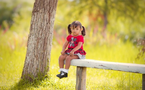 Image red, yellow, child, tree, woody plant