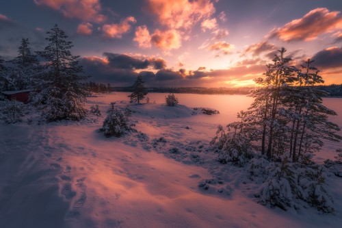 Image snow covered field and trees during sunset