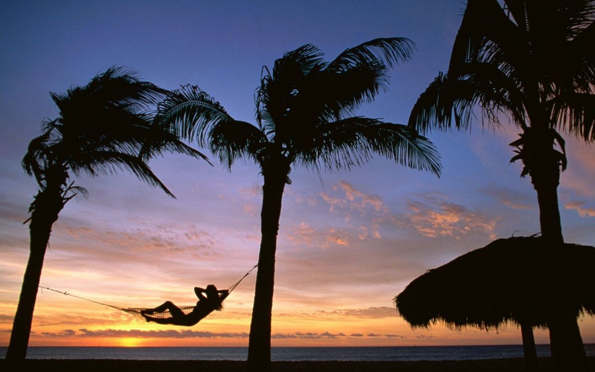 度假, 热带地区, 日落, 早上, 日出 壁纸 2560x1600 允许