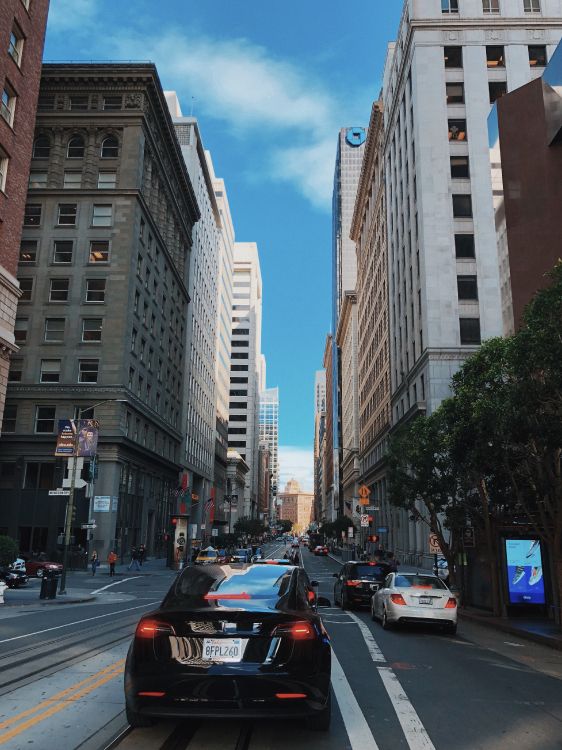 Rey, Coche de Tamaño Medio, Auto Compacto, Carretera, Barrio. Wallpaper in 2962x3950 Resolution