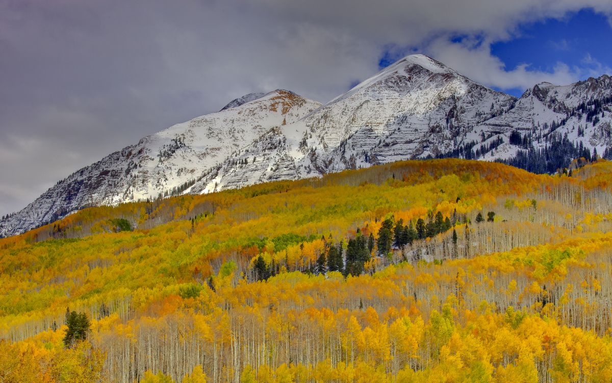 Montaña Cubierta de Nieve Durante el Día. Wallpaper in 2560x1600 Resolution