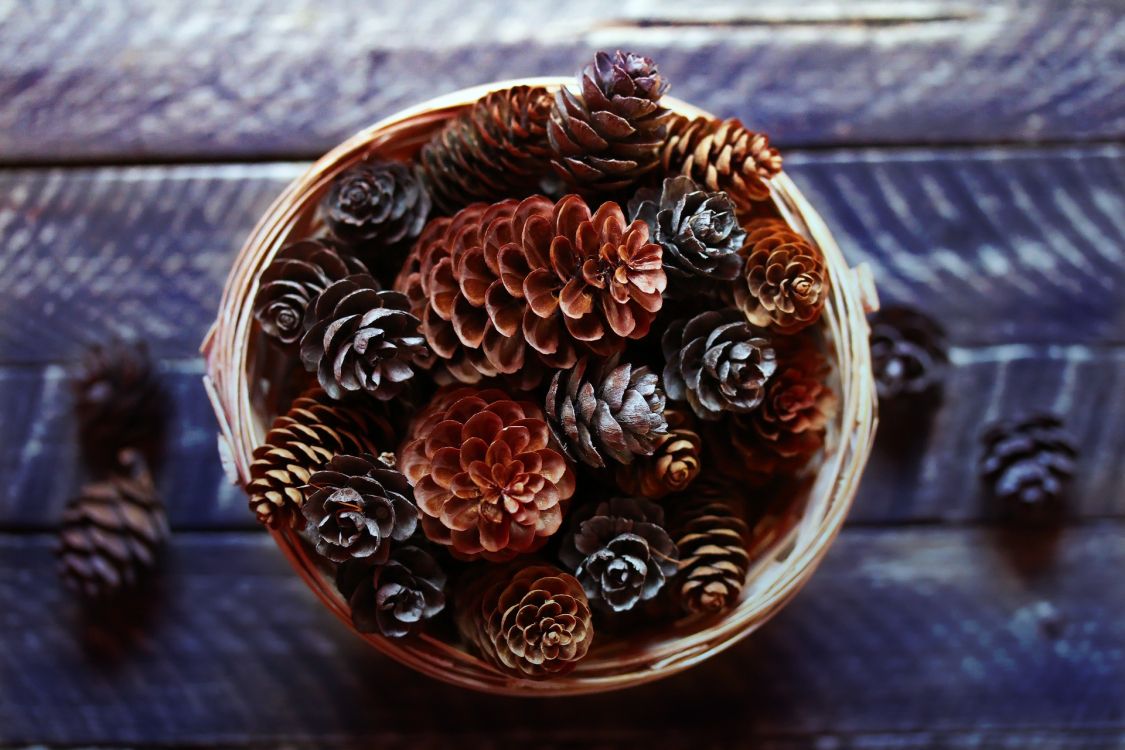 Holz, Naturmaterialien, Körper-Schmuck, Schmuckstück, Artefakt. Wallpaper in 1920x1280 Resolution