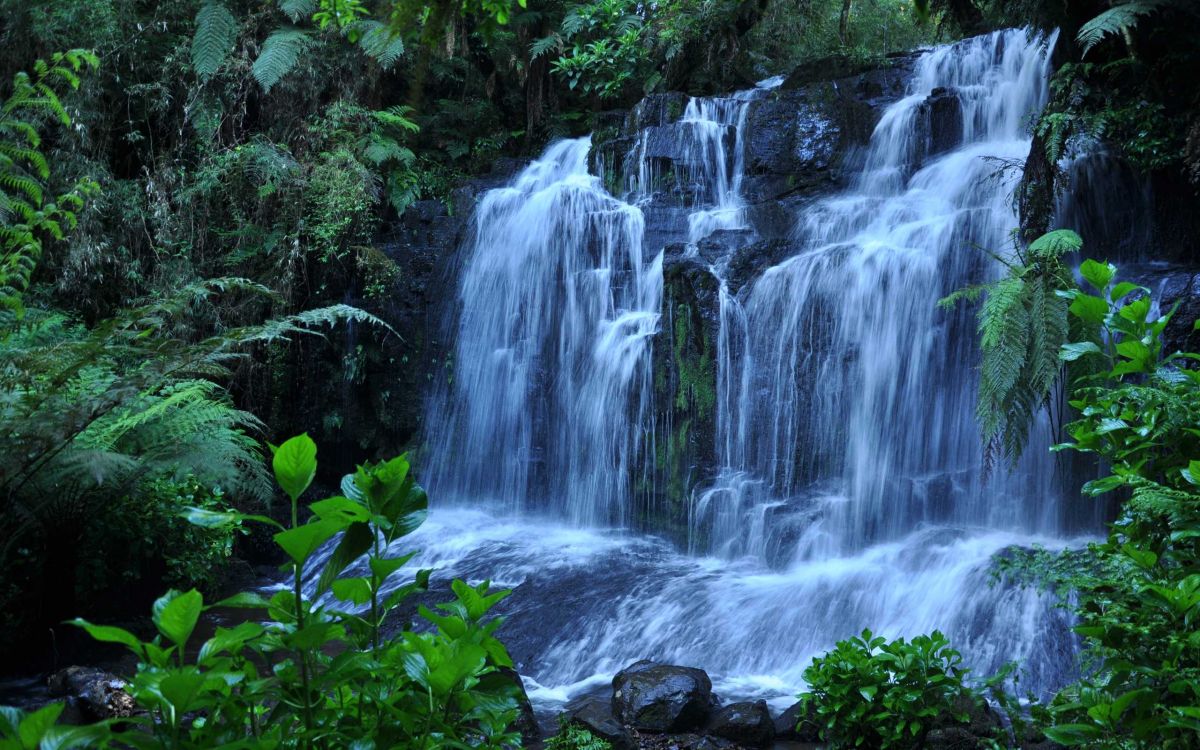 water falls in the middle of green moss covered rocks