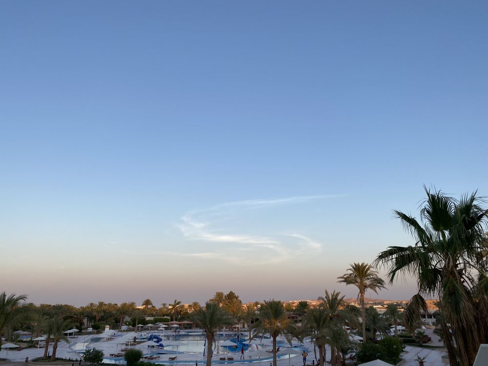 棕榈树, 木本植物, 冻结, 晚上, 热带地区 壁纸 2048x1536 允许