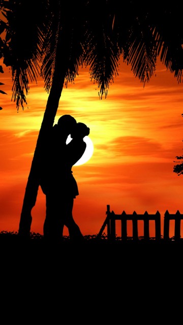 Image Factory, tree, sunrise, backlighting, evening