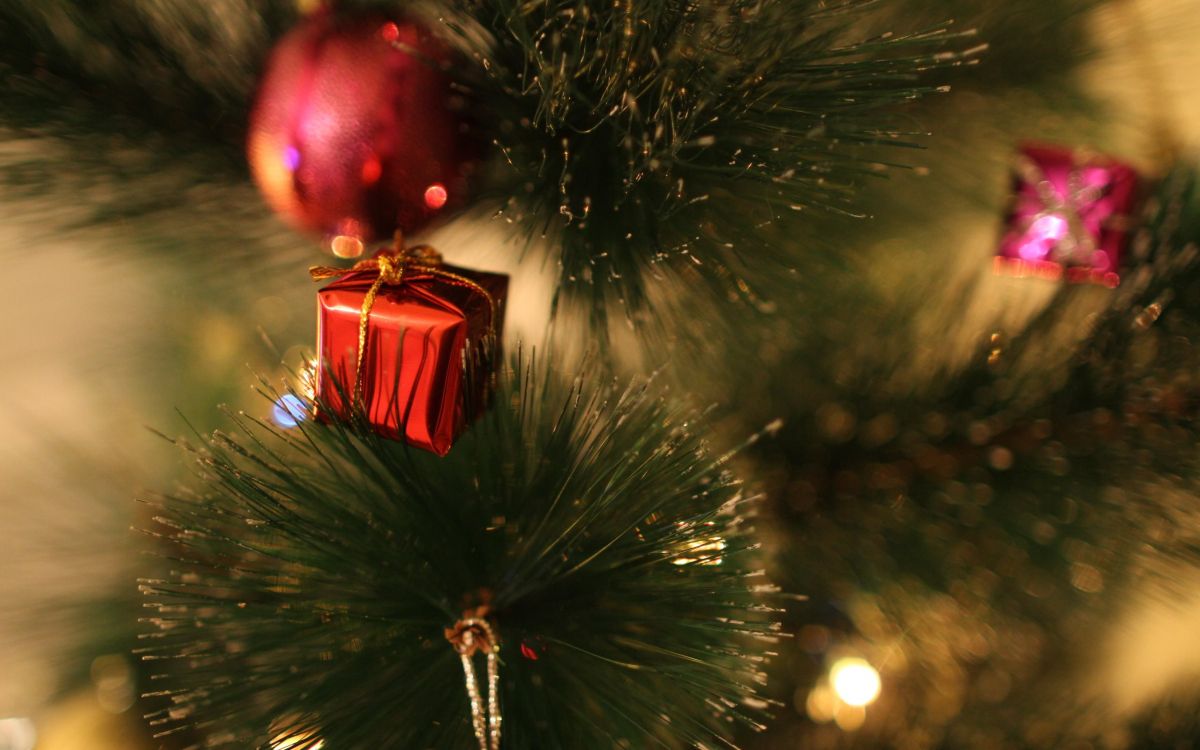 Nochevieja, El Día De Navidad, Adorno de Navidad, Navidad, Decoración de la Navidad. Wallpaper in 2560x1600 Resolution