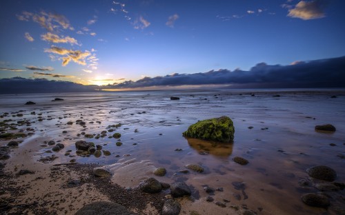 Image brown rock on sea shore during daytime