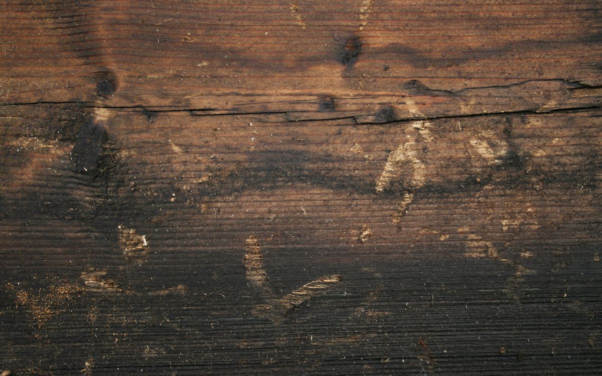 Superficie de Madera Marrón y Negra. Wallpaper in 2560x1600 Resolution