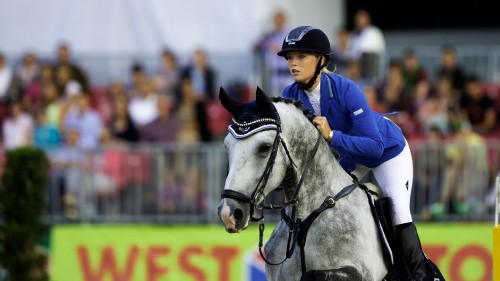 Image man in blue jacket riding white horse during daytime