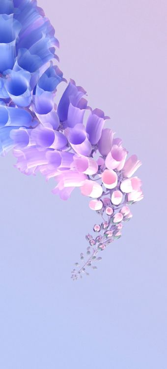 Blühende Pflanze, Blütenblatt, Purpur, Ballon, Geste. Wallpaper in 1080x2376 Resolution