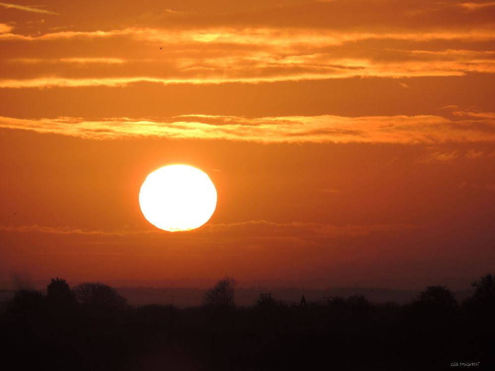 Silhouette Von Bäumen Bei Sonnenuntergang. Wallpaper in 4896x3672 Resolution