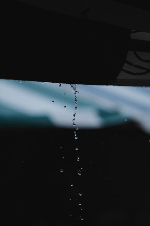 Water, Rain, Blue, Drop, Liquid. Wallpaper in 4000x6000 Resolution