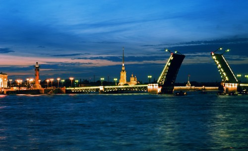 Image city skyline during night time