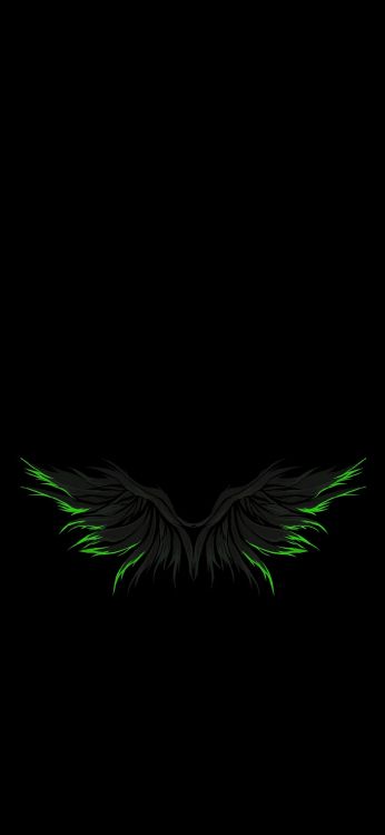 Aile, Plume, Oiseau, Insecte, Queue. Wallpaper in 1080x2340 Resolution