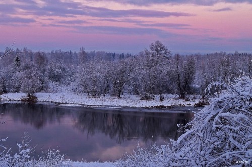 Image snow covered trees beside river during daytime