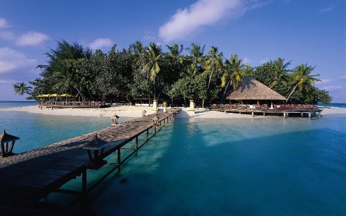 Image brown wooden lounge chairs near swimming pool during daytime