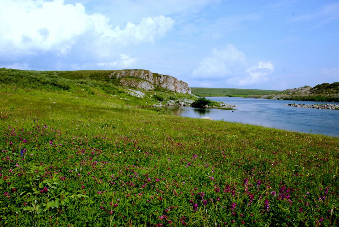 green grass field beside body of water during daytime