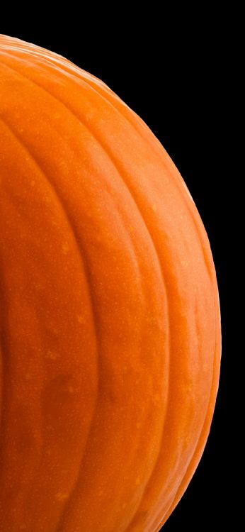 Orange, Squash, Holz, Farbtöne Und Schattierungen, Blütenblatt. Wallpaper in 1125x2436 Resolution