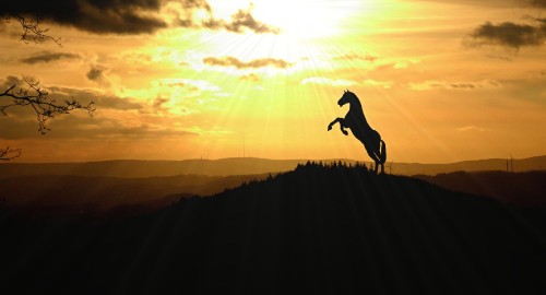 Image horse, extreme sport, sunset, cloud, silhouette