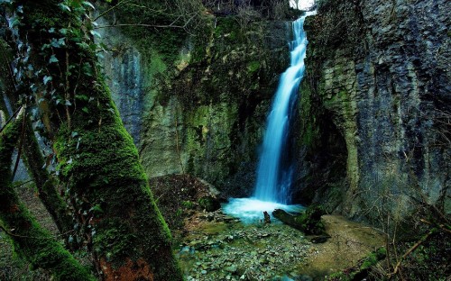 Image water falls in the middle of the forest