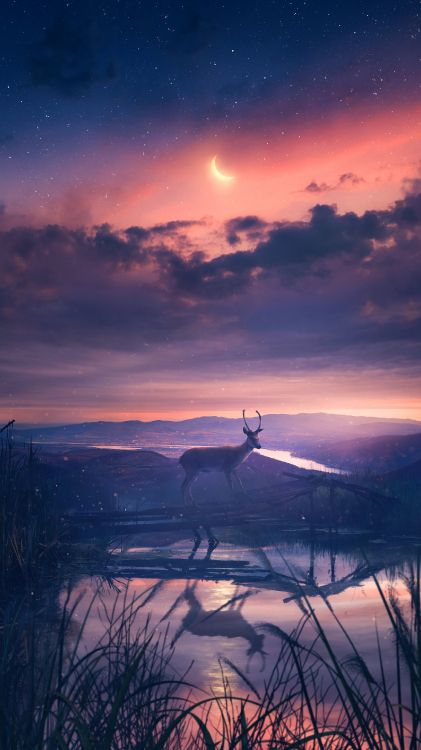 Edward Cullen, Sudadera, 2023, Ambiente, Agua. Wallpaper in 2160x3840 Resolution