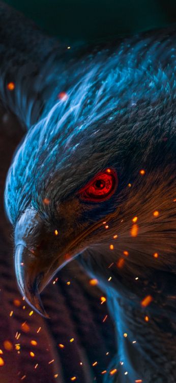 Ios, Android, Blau, Azure, Schnabel. Wallpaper in 1080x2340 Resolution