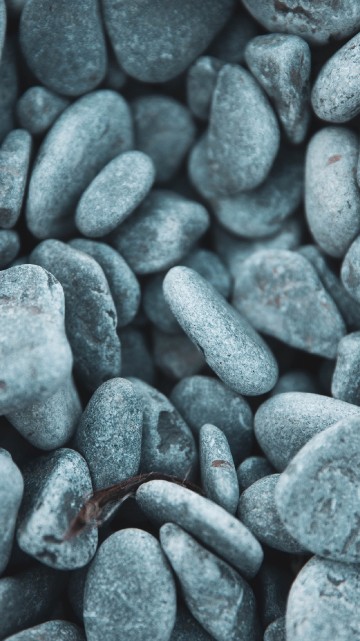 Image pebble, black and white, close up, rock, electric blue